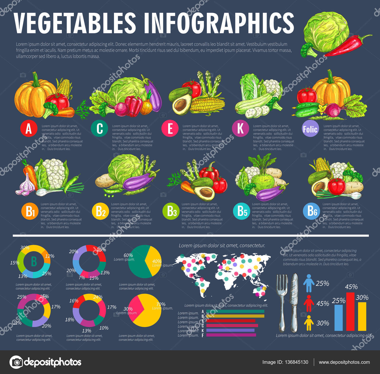 Vegetable infographics with graphs and veggies Stock Illustration by