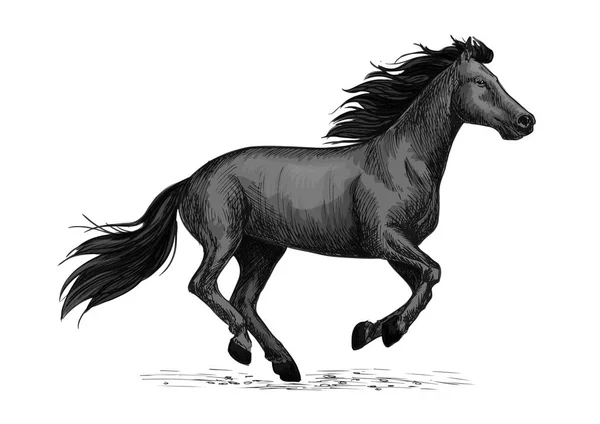 黒い馬の実行馬デザインのスケッチ — ストックベクタ