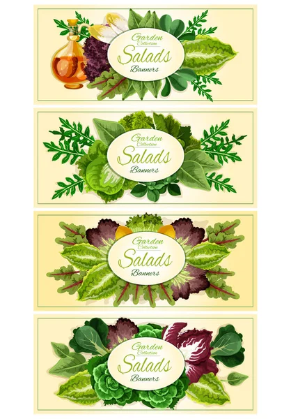 Fresh lettuce and green salad leaves banner set — Stock Illustration Fresh lettuce and green salad leaves banner set Vector Graphics