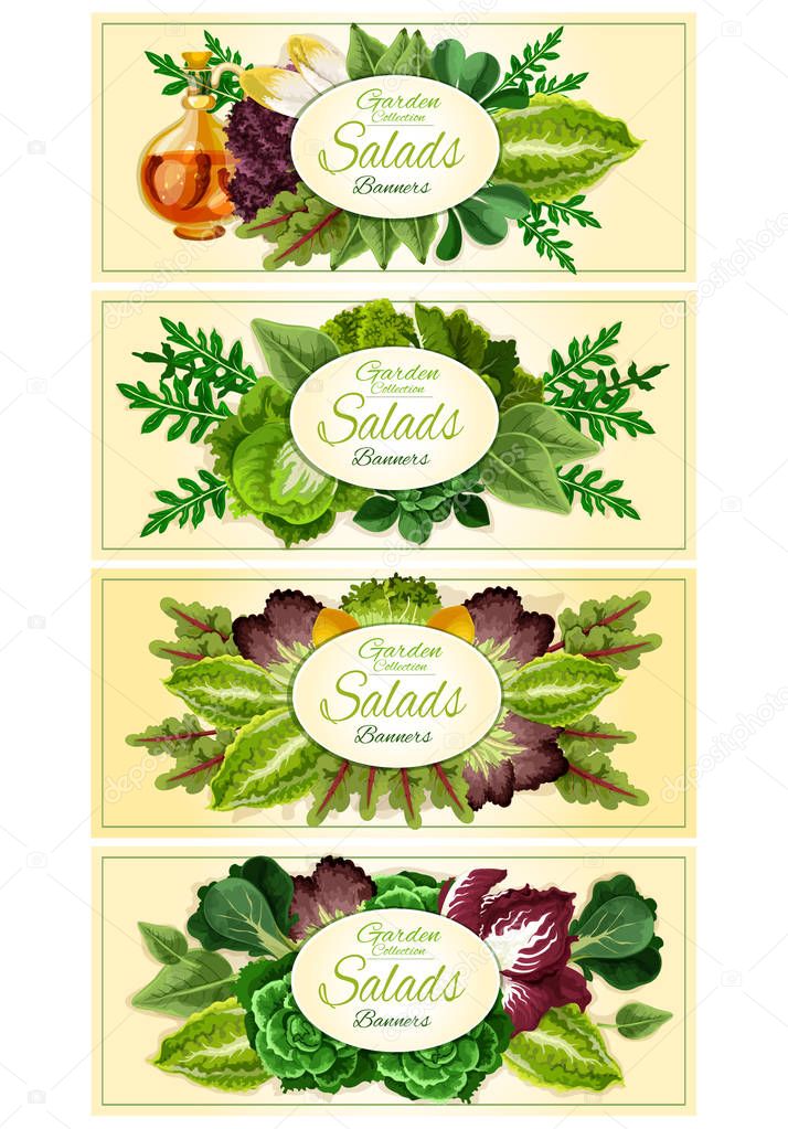 Fresh lettuce and green salad leaves banner set