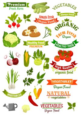 Sebze izole Icons vegan şeritler set vektör
