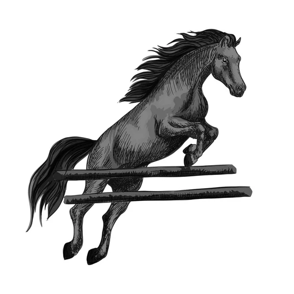 Salto de cavalo sobre barreira equino esporte cavalaria — Vetor de Stock