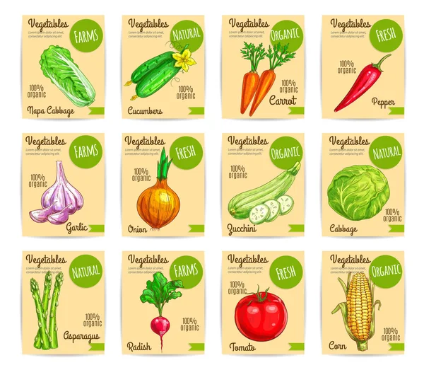 Vegetales precio tarjetas granja vector orgánico conjunto — Vector de stock