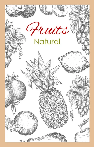 Cartaz vetorial de esboço de frutas naturais — Vetor de Stock