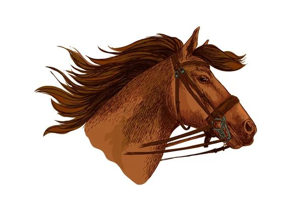 Caballo en brida, corriendo mustang cabeza vector — Archivo Imágenes Vectoriales