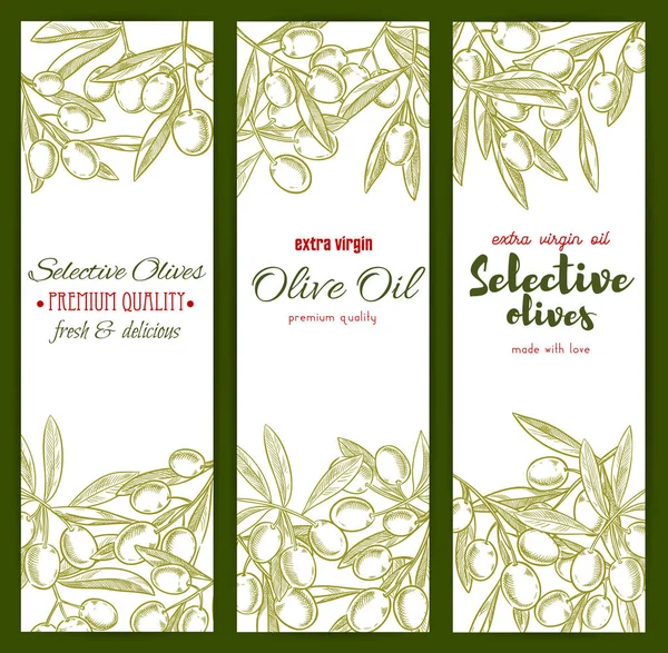 Aceite de oliva y ramas vector boceto banners — Archivo Imágenes Vectoriales