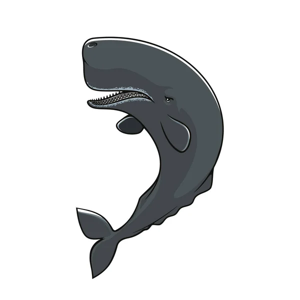 Cachalot sperm whale isolated vector icon — Stock Vector