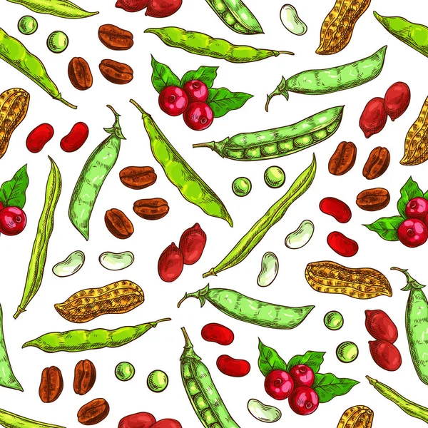 坚果豆类和种子矢量模式 — 图库矢量图片