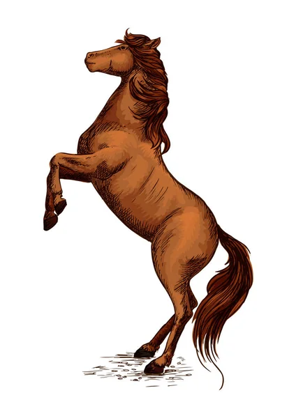 馬の飼育の馬競馬スポーツ シンボル — ストックベクタ