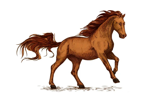 Correr a caballo. Símbolo deportivo de caballo equino — Vector de stock