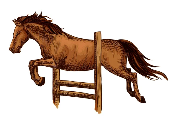 Αραβικό καφέ άλογο αγωνιστικά, άλμα πάνω από το φράγμα — Διανυσματικό Αρχείο