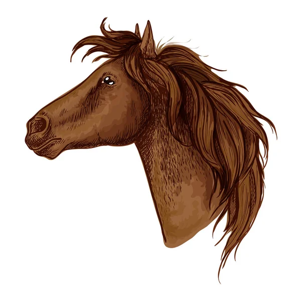 Cheval royal brun gracieux portrait — Image vectorielle