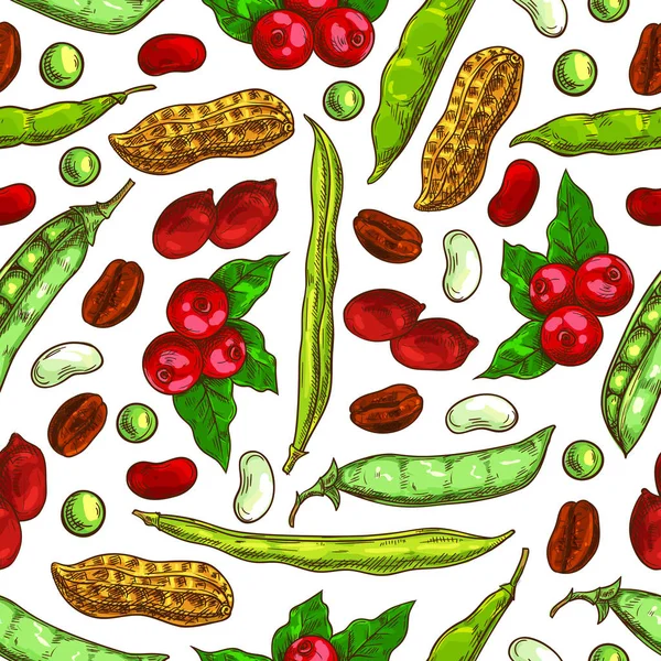 Frijoles, frutos secos, semillas vector patrón sin costura — Archivo Imágenes Vectoriales