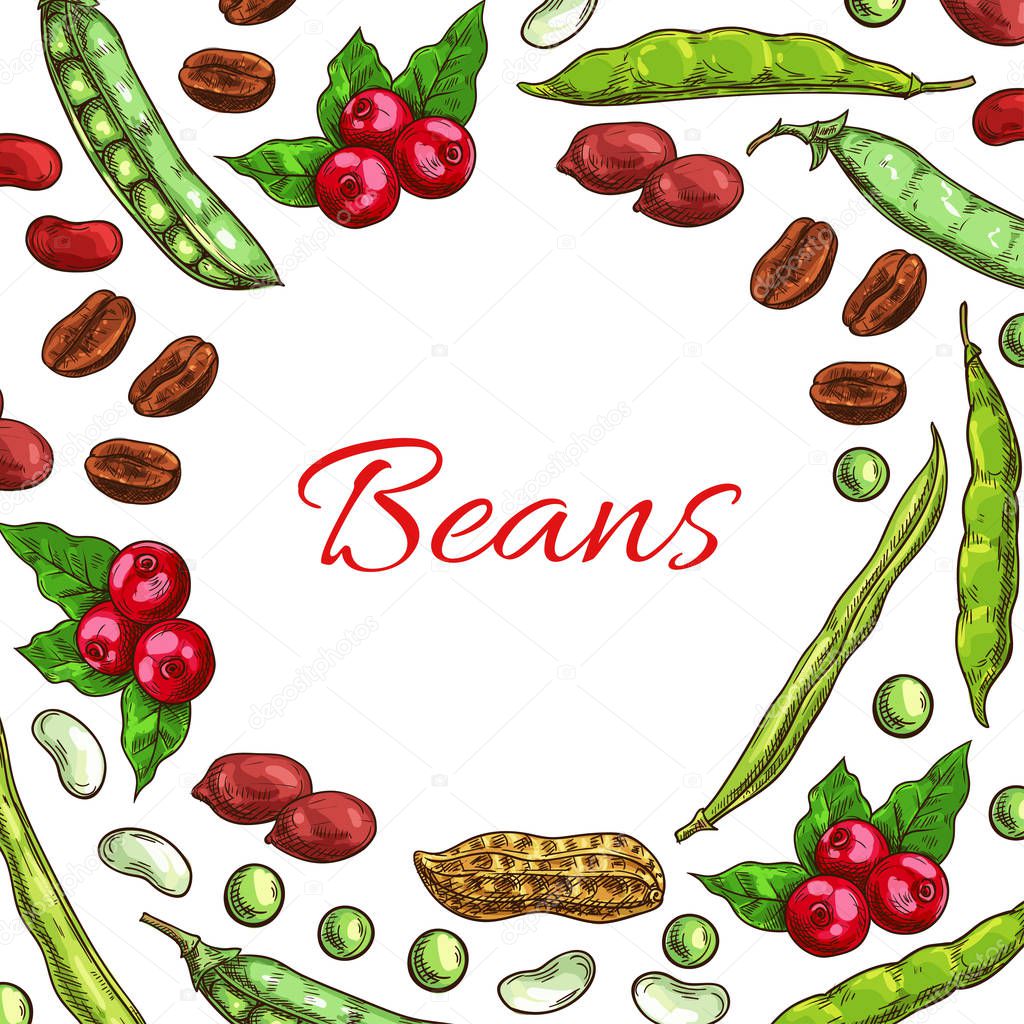 Beans, nuts and seeds vector poster