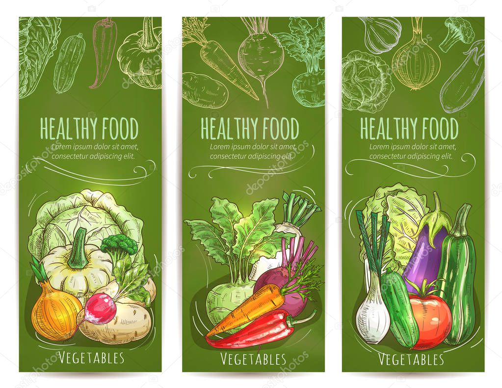 Vegetables healthy vegetarian food sketch banners