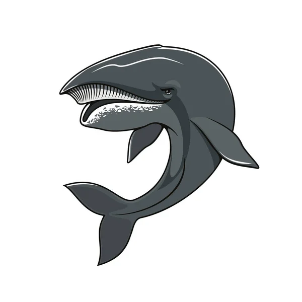 Ícone de mascote vetorial isolado de baleia ou cachalote — Vetor de Stock