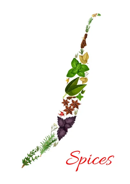 Spezie ed erbe aromatiche, peperoncino simbolo vettoriale — Vettoriale Stock