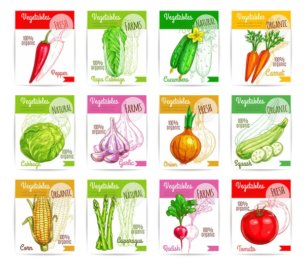 Vegetales vector cuadrado precio etiquetas conjunto — Vector de stock