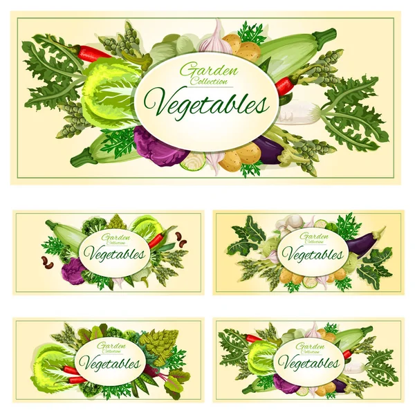 Zöldségfélék, zöldek, zöldségeket vegetáriánus bannerek készlet — Stock Vector