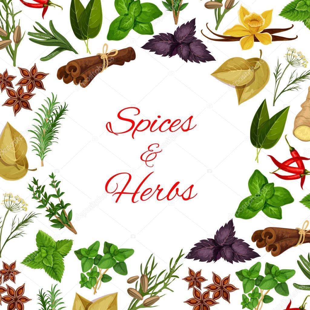 Spices and herbs in round shape vector poster