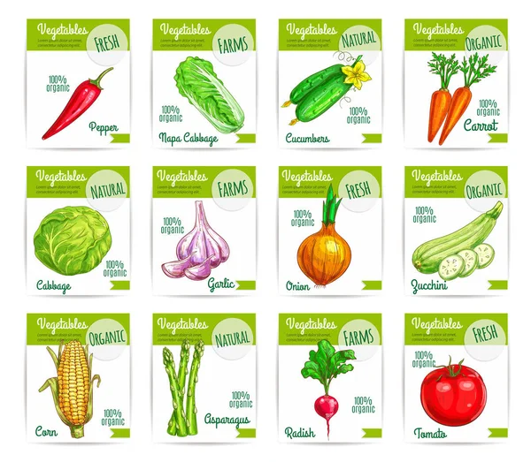 Alimentos vegetales en tarjeta o etiqueta de venta, etiquetas — Vector de stock