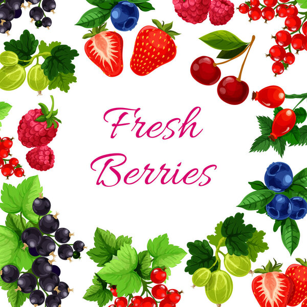 Twigs with berry or fruit food poster