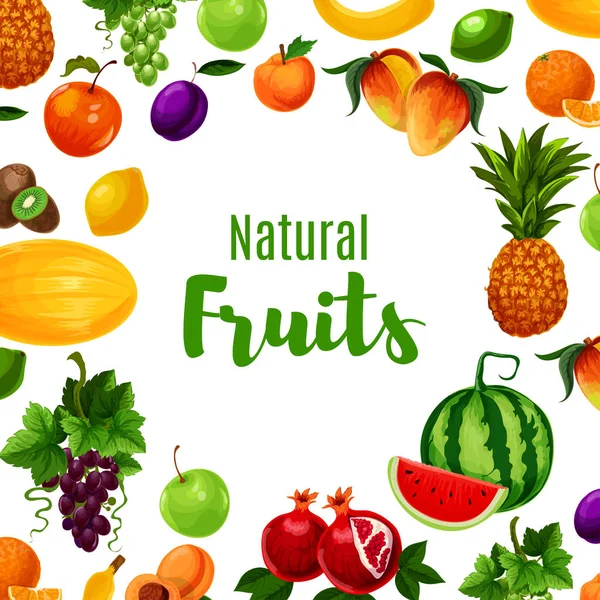 Cartaz de frutas ou vitaminas ou alimentos orgânicos — Vetor de Stock