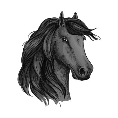 Mustang veya at, aygır kabataslak başkanı