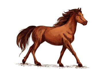 At veya stallion, kroki çalıştıran mustang
