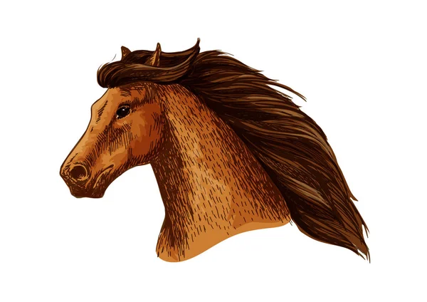 Mare veya stallion baş, mare kalın yele ile — Stok Vektör