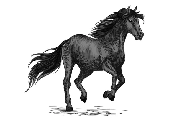 Cabalgatas o galopes de sementales dibujados — Vector de stock