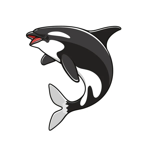 Grampus o orca, ballena saltadora — Vector de stock