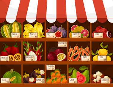 Dükkan veya Pazar vektör stand ekran egzotik meyve