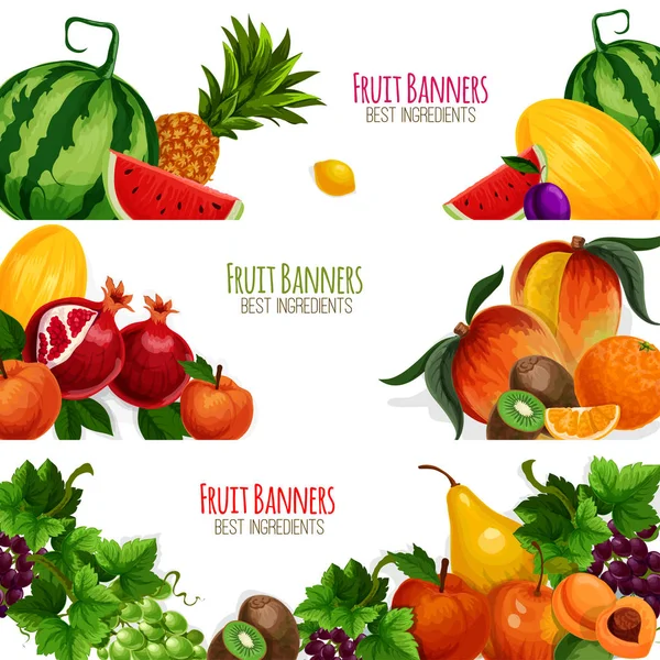 Tuin en exoic fruit vector banners set — Stockvector
