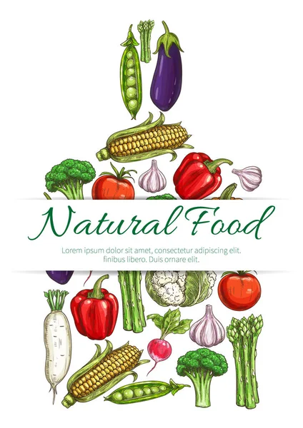 Natuurlijke vegetarisch voedsel symbool van groenten pictogrammen — Stockvector