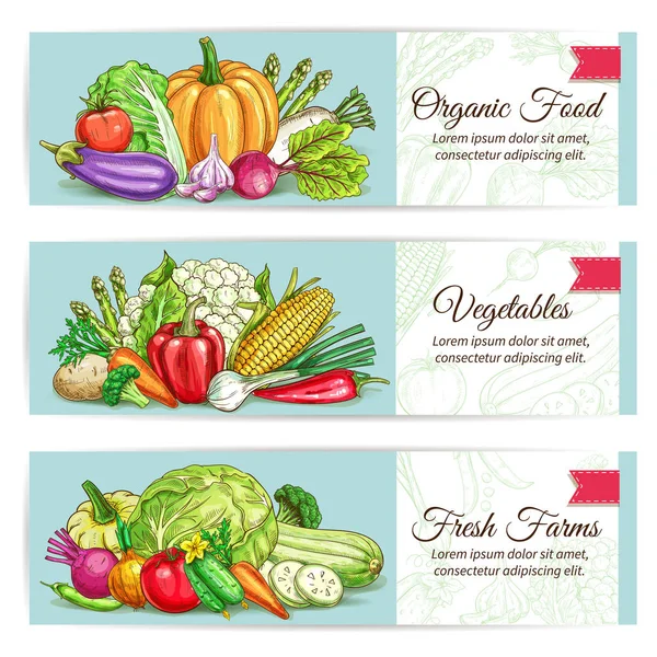 Biologische groenten eten vector banner set — Stockvector