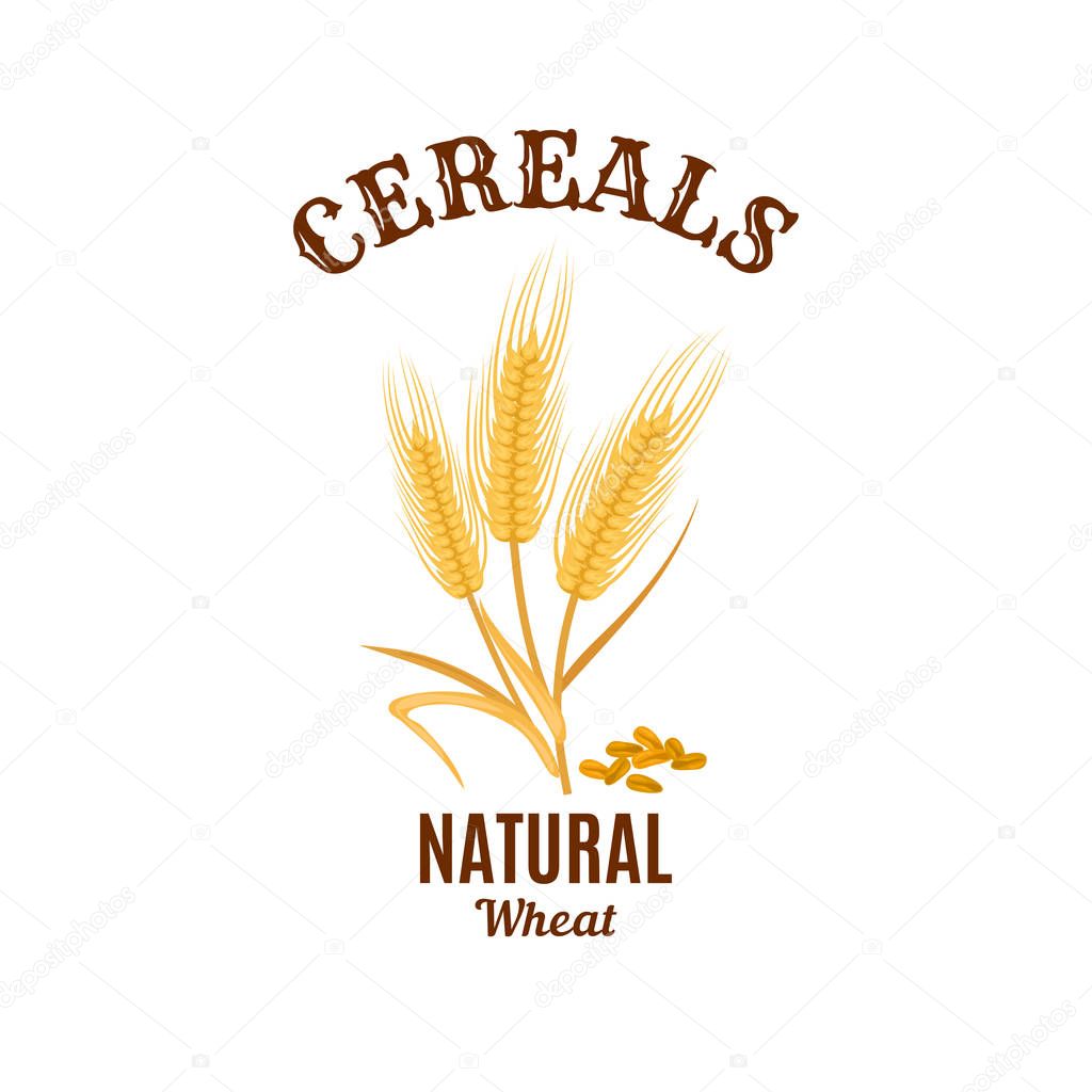 Cereals icon. Vector isolated wheat ear plant. Bread food, flour or beer natural ingredient barley, oat or rye. Agriculture or farming cereal reap harvest with grain seeds. Design for bakery or