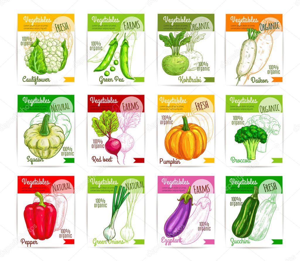 vegetables vector price cards or labels set stock vector