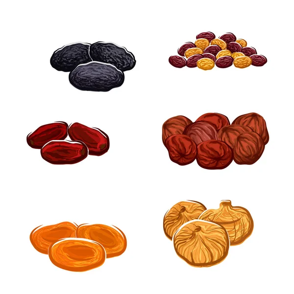 Dried fruits or berries isolated vector icons — Stock Vector