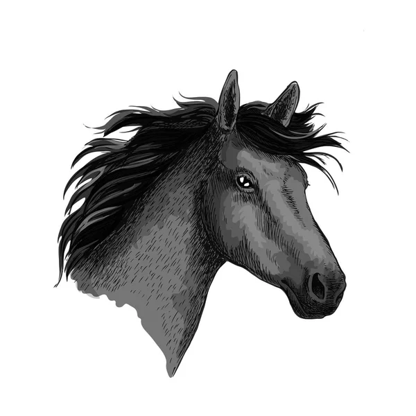 Cabeza de caballo de mustang negro vector boceto — Vector de stock