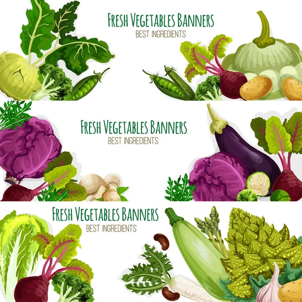 Fresh vegetables vector banners set — Stock Vector