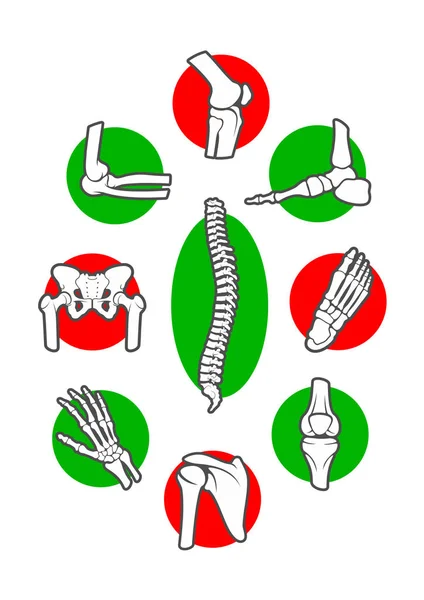 Esqueleto humano huesos y articulaciones icono conjunto — Archivo Imágenes Vectoriales