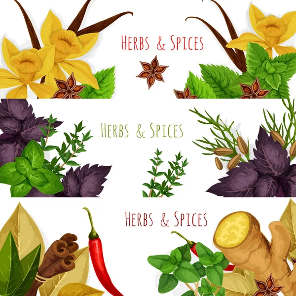 Spices and herbs vector banners set — Stock Vector