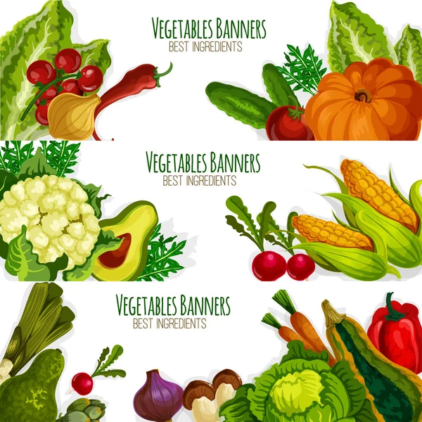 Conjunto de pancartas vectoriales vegetales de verduras frescas — Vector de stock