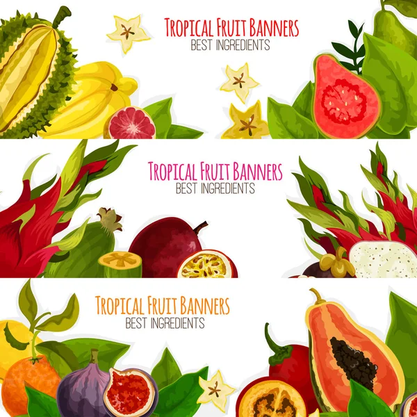 Conjunto de banderas de vectores de frutas frescas tropicales exóticas — Archivo Imágenes Vectoriales