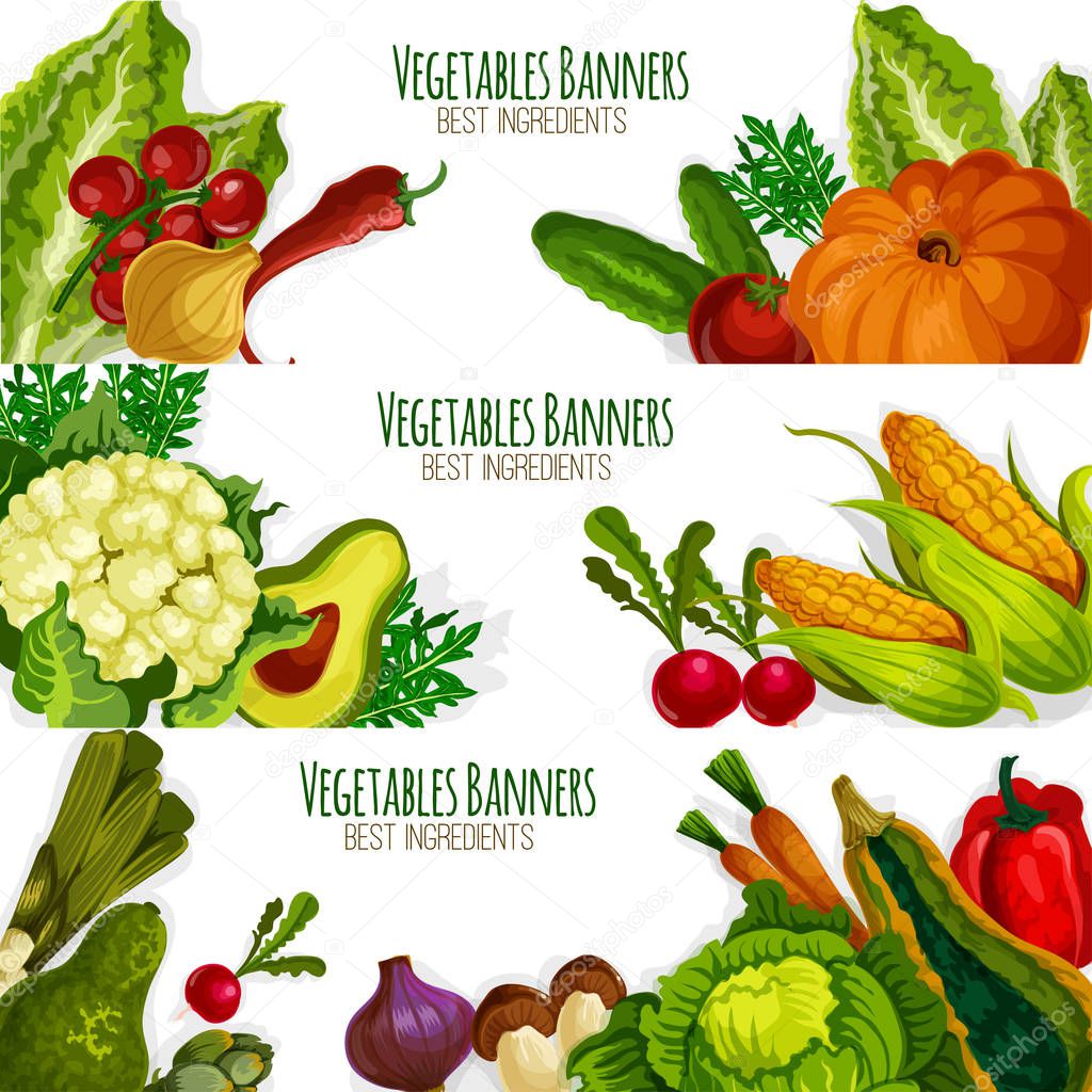 Vegetable vector banners set of fresh vegetables
