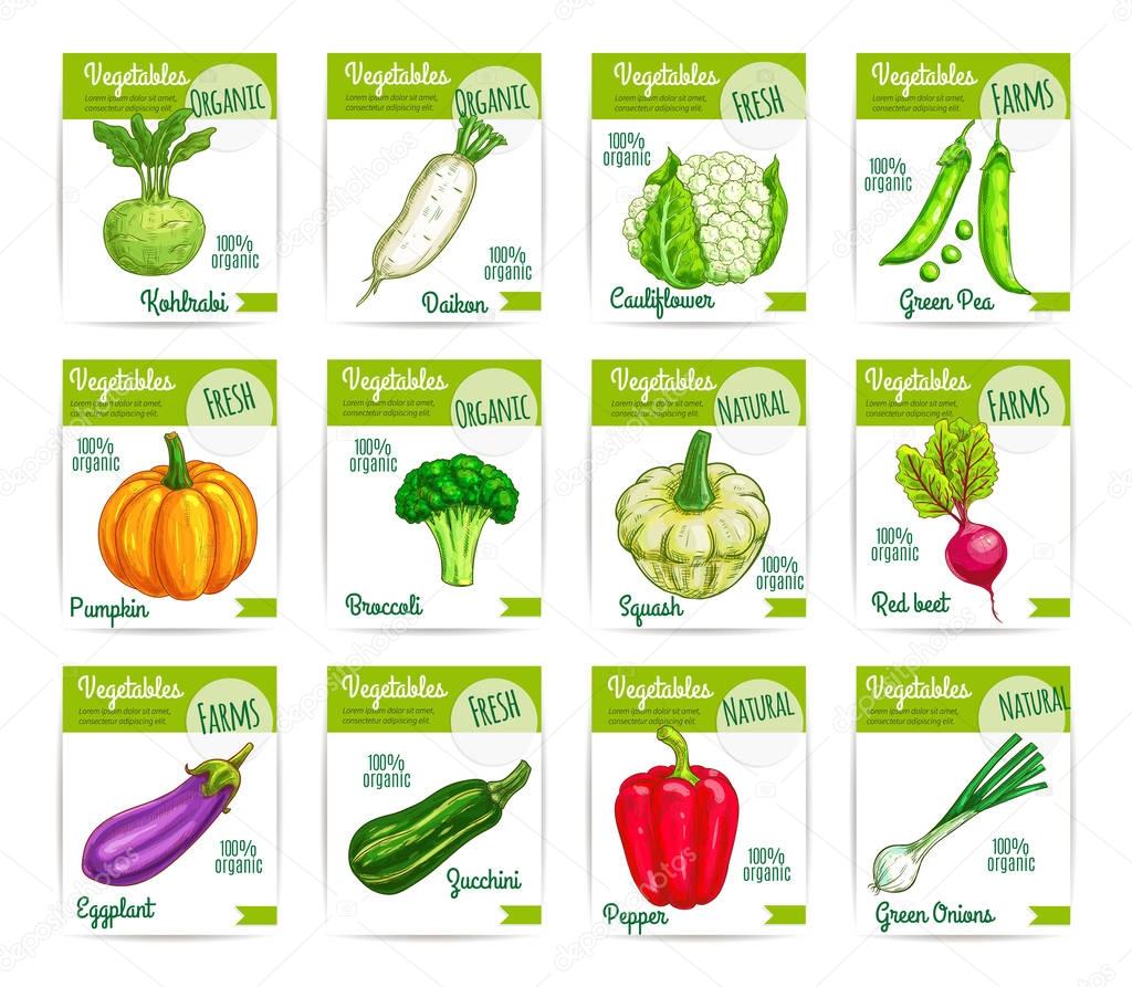 Vegetables veggies vector price cards labels set