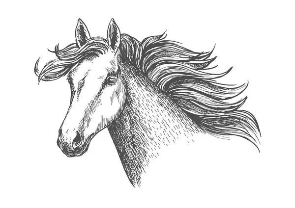 Freely correndo branco bela égua cavalo — Vetor de Stock