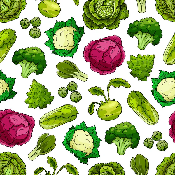 Cabbage vegetables vector seamless pattern — Stock Vector
