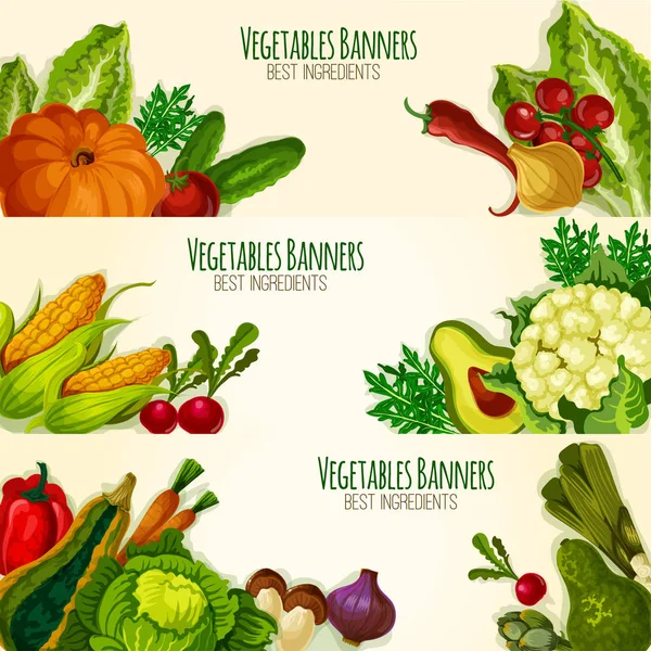 Zelenina a organických vegetariáni vektorové sada bannerů — Stockový vektor